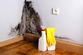 Best Mold Remediation for Healthcare Facilities  in Nome, AK